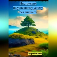 . Инструкция по успешному успеху без лишнего
