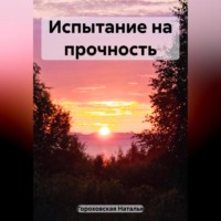 . Испытание на прочность