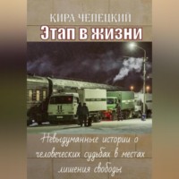 . Этап в жизни. Невыдуманные истории о человеческих судьбах в местах лишения свободы