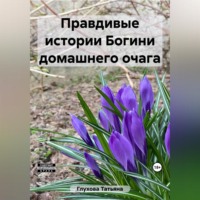 . Правдивые истории Богини домашнего очага