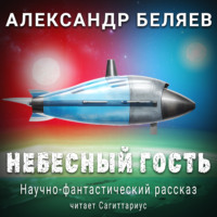 . Небесный гость