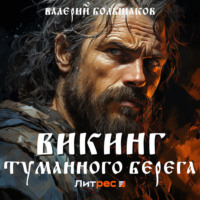 . Викинг туманного берега