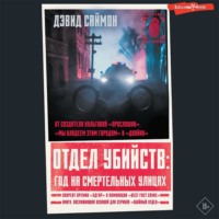 . Отдел убийств: год на смертельных улицах