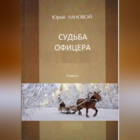 . Судьба офицера