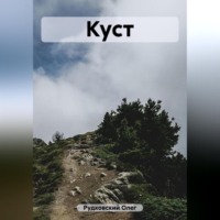 Олег Анатольевич Рудковский. Куст