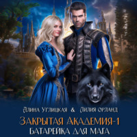 Алина Углицкая. Батарейка для мага