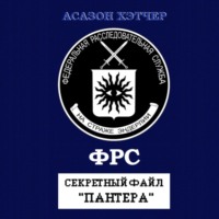 . Секретный файл «Пантера»