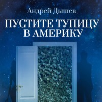 . Пустите тупицу в Америку