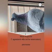 Иван Карасёв. С иронией обо всём понемногу