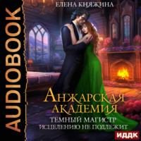. Анжарская академия. Темный магистр исцелению не подлежит