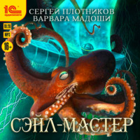 Сергей Плотников. Сэйл-мастер