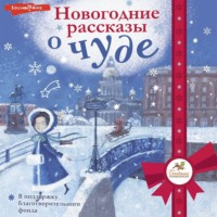. Новогодние рассказы о чуде