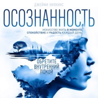 . Осознанность. Искусство жить в моменте. Спокойствие и радость каждый день