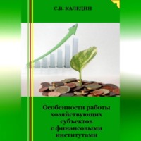 Сергей Каледин. Особенности работы хозяйствующих субъектов с финансовыми институтами