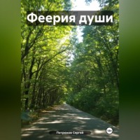 Сергей Петрюков. Феерия души