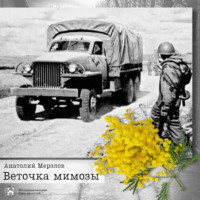 . Веточка мимозы