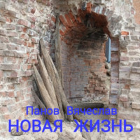 . Новая жизнь
