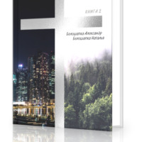 Александр Белошапка. Путь домой Книга 2 Целитель