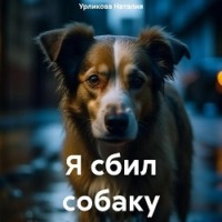 . Я сбил собаку