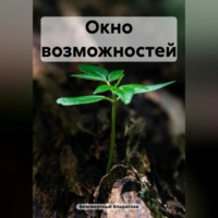 . Окно возможностей