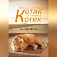 Элеонора Гранде. Котик по кличке Котик