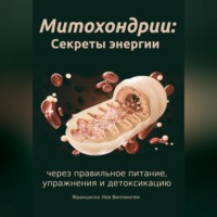 . Митохондрии: секреты энергии через правильное питание, упражнения и детоксикацию