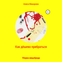 Алиса Макарова. Как дёшево прибраться. Уборка Нищеброда