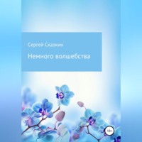 Сергей Сказкин. Немного волшебства