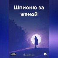 . Шпионю за женой