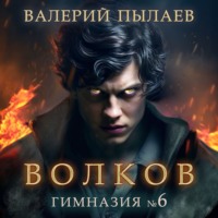 . Волков. Гимназия №6