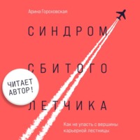 . Синдром сбитого летчика. Как не упасть с вершины карьерной лестницы (читает автор)
