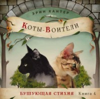 . Бушующая стихия