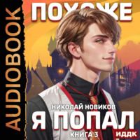 Николай Новиков. Похоже, я попал. Книга 3. Похоже, вы попали