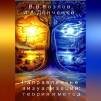 Владимир Васильевич Козлов. Направленные визуализации: теория и метод