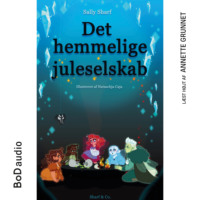 Sally Sharf. Det hemmelige juleselskab (uforkortet)