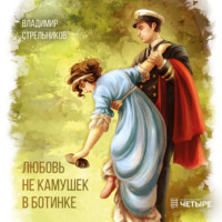 Владимир Стрельников. Любовь не камушек в ботинке