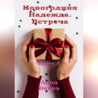 . Новогодняя Надежда. Встреча. Часть 1