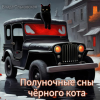 Влада Ольховская. Полуночные сны чёрного кота