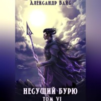 . Несущий бурю. Том VI