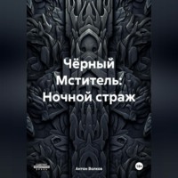 . Чёрный Мститель: Ночной страж