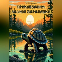. Приключения лесной черепашки