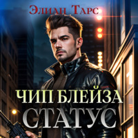 . Чип Блейза. Статус