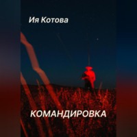 . Командировка