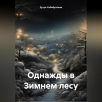 . Однажды в Зимнем лесу