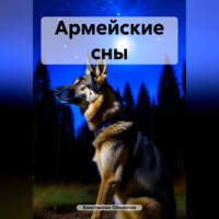 . Армейские сны