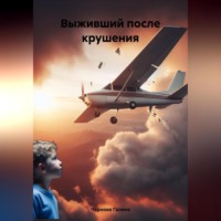 . Выживший после крушения