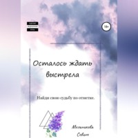 Севинч Замиговна Мельникова. Осталось ждать выстрела