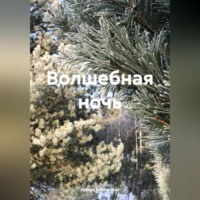 . Волшебная ночь