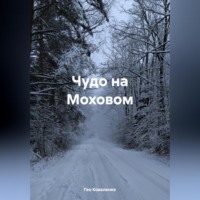 . Чудо на Моховом