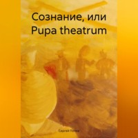 Сергей Андреевич Попов. Сознание, или Рupa theatrum